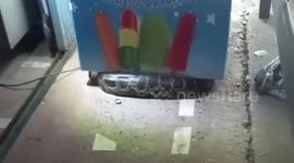 Large python hides under ice cream freezer in Thailand