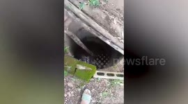 Wild otters rescued after falling into well in Thailand