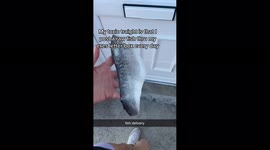 Woman posts FISH through ex boyfriend's LETTERBOX – leaving TikTok users divided