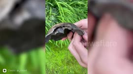 Teen treasure hunter discovered a human skull from 1,400 years ago