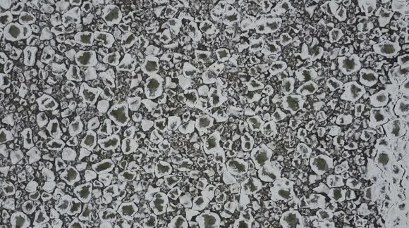 Badder weather: Fascinating strange 'pancake' ice forms over Lake Erie