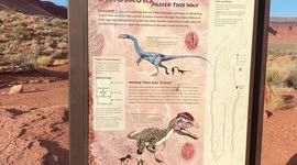 Real millions of years old Dinosaur tracks in Utah