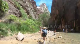 Hike into the narrows at zion national park