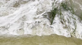 Summer rains result in strong river flows at Jabulani Safari in South Africa