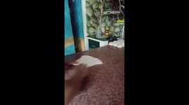 Man makes bread with fast speed