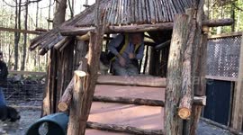 My husband and son hand crafted this eco  Malamoozment park for our Alaskan Malamute family