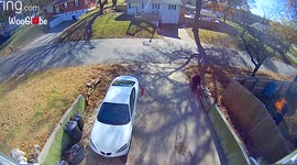 'Missouri woman in panic mode after seeing her yard on fire 
'