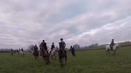 Terrifying footage shows moment animal activist was left seriously injured after being trampled by horse during UK hunt stampede