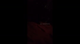 My dog telling me no