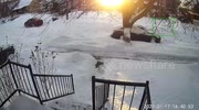 temp