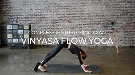 Complex of stretching asan Vinyasa flow yoga