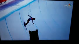 My Cat Meeper Watches The Olympics On TV Following The Athletes Every Move