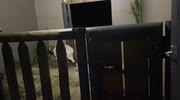 temp