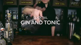 Gin and Tonic Cocktail Recipe