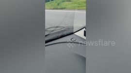 Terrified driver finds snake on car windshield