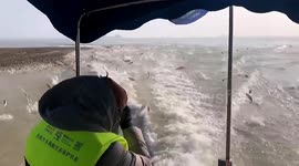 Thousands of fish leap out of lake as boat drives past in China