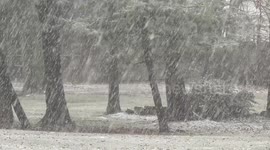 Pennsylvania blanketed by heavy and rapid snowfall