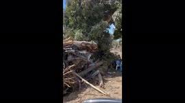 Devastation after massive volcanic eruption and tsunami in Tonga