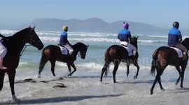Cape Town Met horse race entrants train at Sonwabo Beach in South Africa's Cape Town
