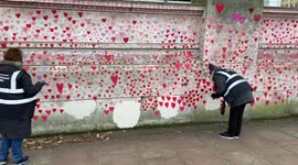 Volunteers paint in hearts in touching tribute for over 150,000 COVID victims in UK