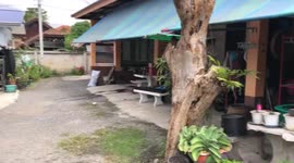 British tourist, 49, 'hacked to death with a scythe by furious neighbour after playing music loudly in Thailand'