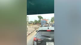 Troop of hungry monkeys climb delivery truck to steal food