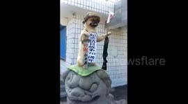 Dog dressed up in memory of China victory in WWII