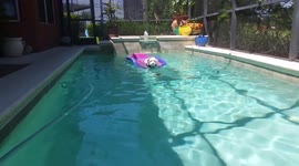 Pete and his uncertainty about swimming.