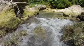 Jungle Perch fishing indonesia