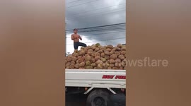 Man with 'iron hands' catches spiky durian fruit being thrown to him on truck