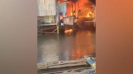 Brave stray cats leap across burning homes into the sea to escape fire