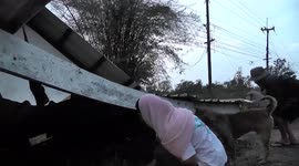 Mother dog leads a woman to her puppies stuck under collapsed house