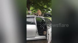 Aggressive wild monkey urinates on car and frightens driver in Thailand