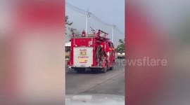 Adorable adopted stray dog joins firefighters on truck