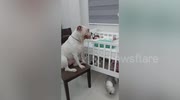 temp
