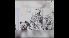 10 Minute Art Challenge  Day 4  Endangered Animals Sketch