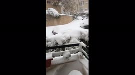 Jordan: Snowstorm Hits, Amman Blanketed In White 2