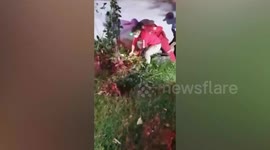 Brave snake wranglers catch cobra barehanded before giving the thirty snake a drink of water