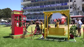 2022 Cape Met brings glamour and Covid protocols together