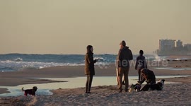 People, pets and even a manatee struggle to stay warm on coldest day in south Florida for years
