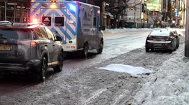 Cheslie Kryst Commits Suicide in New York