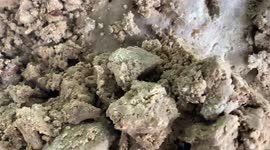 Instant karma! Good Samaritan cleaning pollution from beach finds 27kg piece of whale vomit worth up to $1.2 MILLION