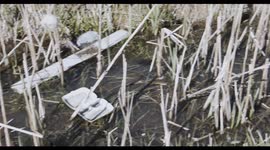 Salina Derish talks about the environment and cleaning up litter in unique ways in Chilliwack, BC with her friends.