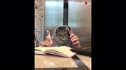 temp