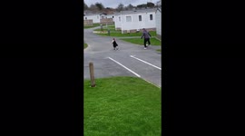 2 year old gets knocked out by football to face.