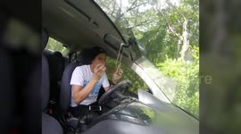 Unbelievable moment injured serpent eagle flies into MOVING vehicle