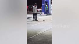 Sneaky wild bird steals banknote from petrol station pump attendant
