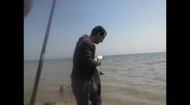 liberando gapiota de parejo de pesca. y ayudandola a volar.. Mar Menor Murcia S.O.S.