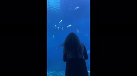 Great day and a fun time at the Georgia aquarium with my best friend and the fish!