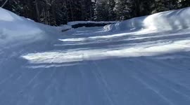 Incredible POV clip catches luge ride down snowy slope in Colorado